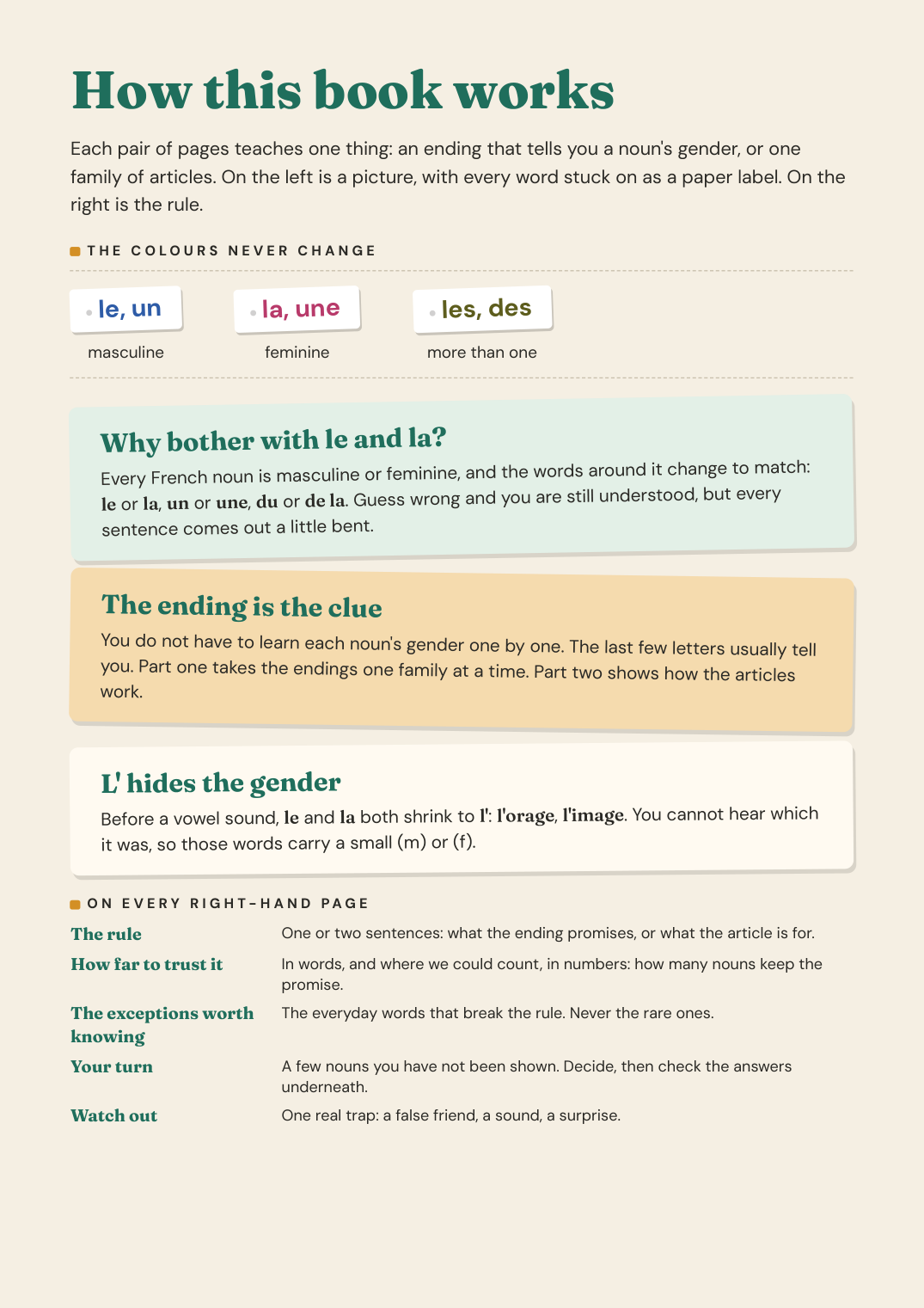 Page 2 of French Nouns, Genders & Articles